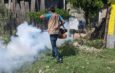 Confirman 15 casos positivos de dengue en Matamoros; llaman a reforzar acciones preventivas